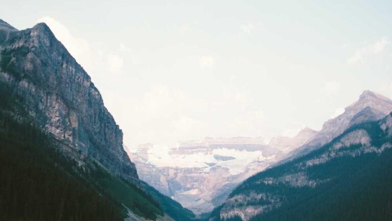 How To Verify The Official Cricbet99 Com Website?